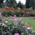 Visit the City of Roses, Portland