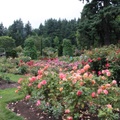 Visit the City of Roses, Portland