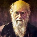 Charles Darwin (web picture)