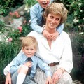Princess Diana(web picture)