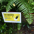 大安水圳和大安森林公園的螢火蟲生態池