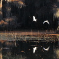 凱多湖 ~ 秋色 • 飛鳥 • 落日 • 晨霧 • 楓葉