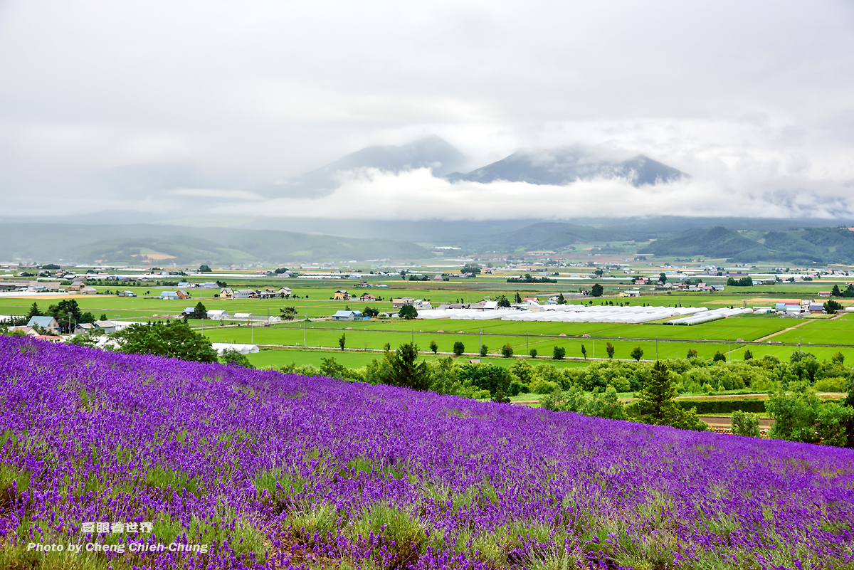 紫色的夏天19北海道薰衣草之富田農場 ファーム富田farm Tomita 豆眼看世界 小豆仔的攝影旅遊 Udn部落格