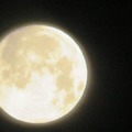 月落。