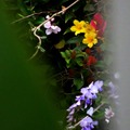 lighted days