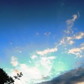 夏