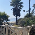 Santa Monica6