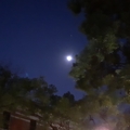 星+月
