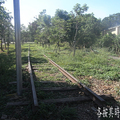 忠義村_公路局軍福社06