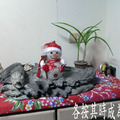 2012年marry christmas