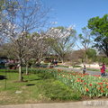 2017春的 達拉斯植物園
