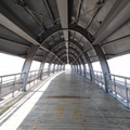 通往香山濕地的魚腹造型天橋