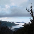 在「雪霸國家公園觀霧遊憩區」前遠眺雲海