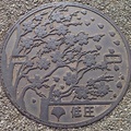 上野公園裏的櫻花樹鐵蓋