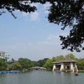 台中公園湖心亭景色