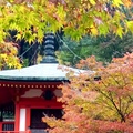 2015醍醐寺