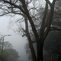 陽明山公園
