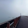 仁義湖岸