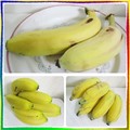 〈酥皮派36-7.2香酥開口餃〉03-2芭蕉代香蕉