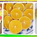 〈果樹-02橙橘桔柚檸6〉01-20柳丁