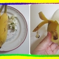 〈米麥-05蕉泥小丸子〉02香蕉室溫熟化