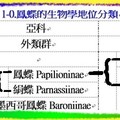 〈昆蟲-02美麗的蛻變3-2〉1-0.2鳳蝶的生物學地位分類