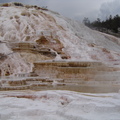 Yellowstone