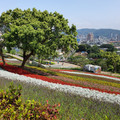 2021.03.14北投社三層崎公園