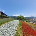 2021.03.14北投社三層崎公園