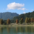 2019.12.24宜蘭員山鄉蜊埤湖落雨松