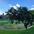 永春陂濕地公園