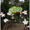 2012雲林桐花祭