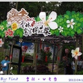 2012雲林桐花祭