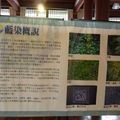 台北植物園