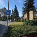 生活在 Santa Clara,CA 見聞偶感~ 社區在紅杉環抱中