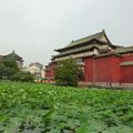 台北植物園