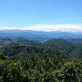 Lamigo陽明山頂山‧石梯嶺步道健走 八煙聚落巡禮(20151129)