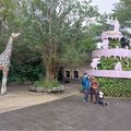 老同學返老還童健行動物園