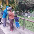 老同學返老還童健行動物園