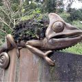 老同學返老還童健行動物園