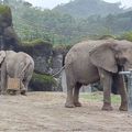 老同學返老還童健行動物園