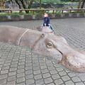 老同學返老還童健行動物園