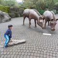 老同學返老還童健行動物園