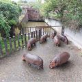 老同學返老還童健行動物園