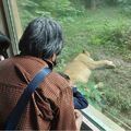 老同學返老還童健行動物園