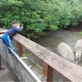 老同學返老還童健行動物園