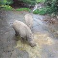 老同學返老還童健行動物園