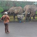 老同學返老還童健行動物園