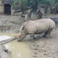 老同學返老還童健行動物園