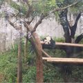 老同學返老還童健行動物園